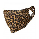 Colour: Leopard