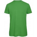 Colour: Real Green