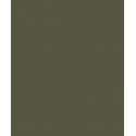 Colour: Olive