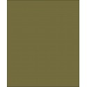 Colour: Olive