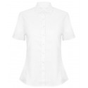 Colour: White