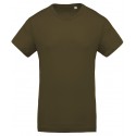 Colour: Moss Green