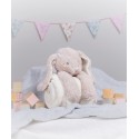 Mumbles Rabbit and blanket