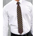 Premier Sports stripe tie