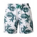 Colour: White/ Green Leaf