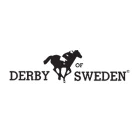 Derby of Sweden